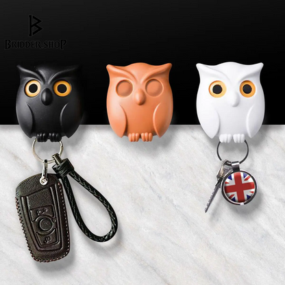 Meet Hooty McKeyHook: Your Adorable Owl Key Holder That Keeps Your Keys Safe and Sound!
