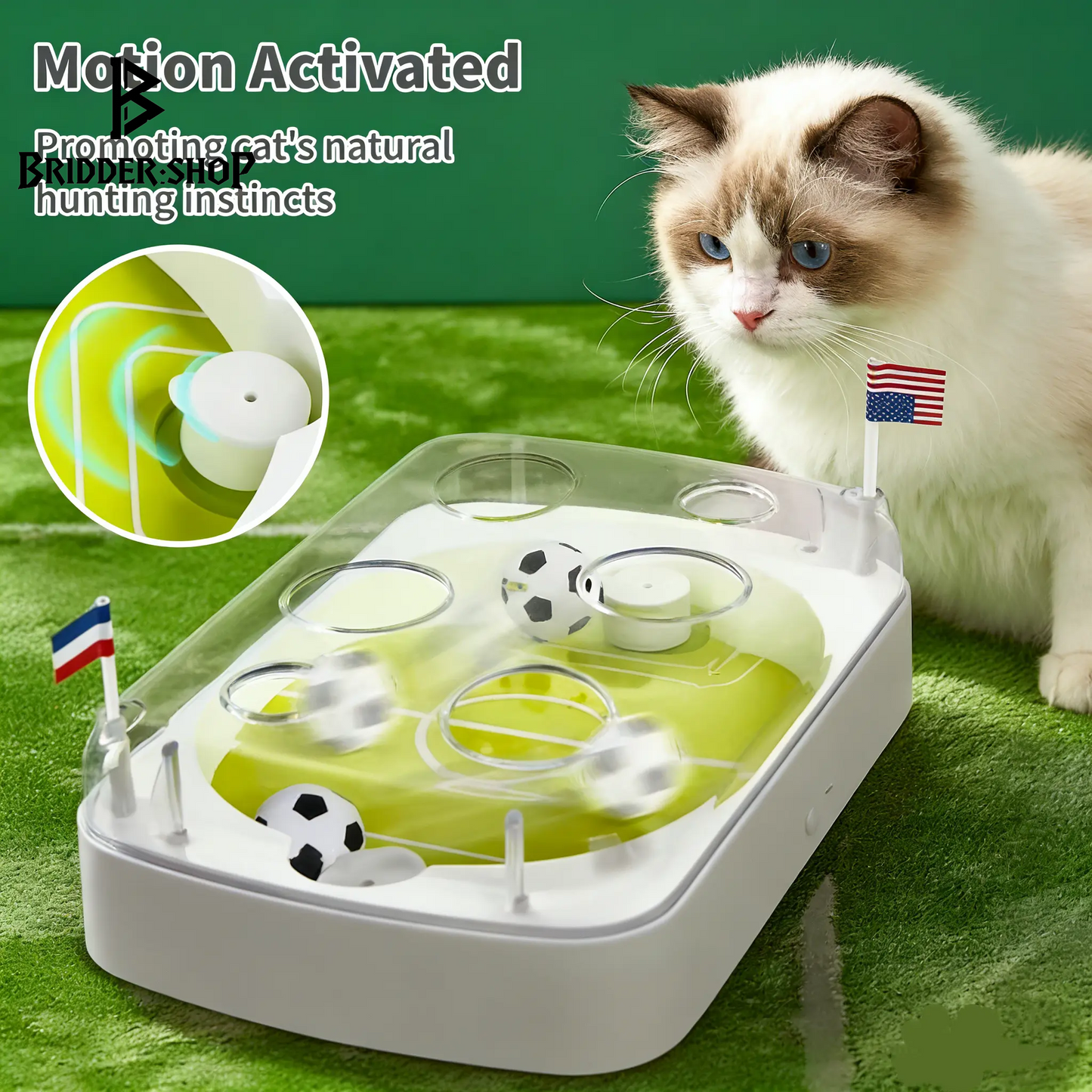 Feline FIFA Frenzy: The Ultimate Soccer Field for Purr-fect Playtime and Catnip Fun!