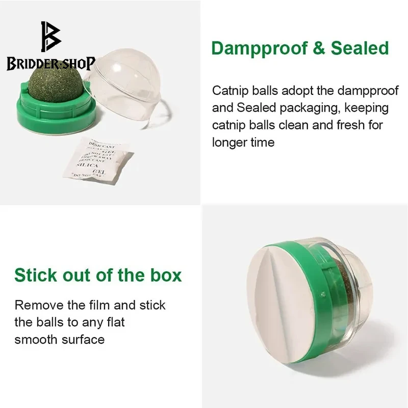 Feline Fun Factory: The Wall-Mounted Catnip Ball of Digestive Delight and Scratchy Shenanigans!