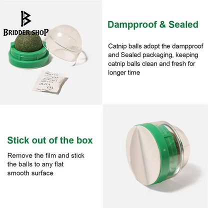 Feline Fun Factory: The Wall-Mounted Catnip Ball of Digestive Delight and Scratchy Shenanigans!