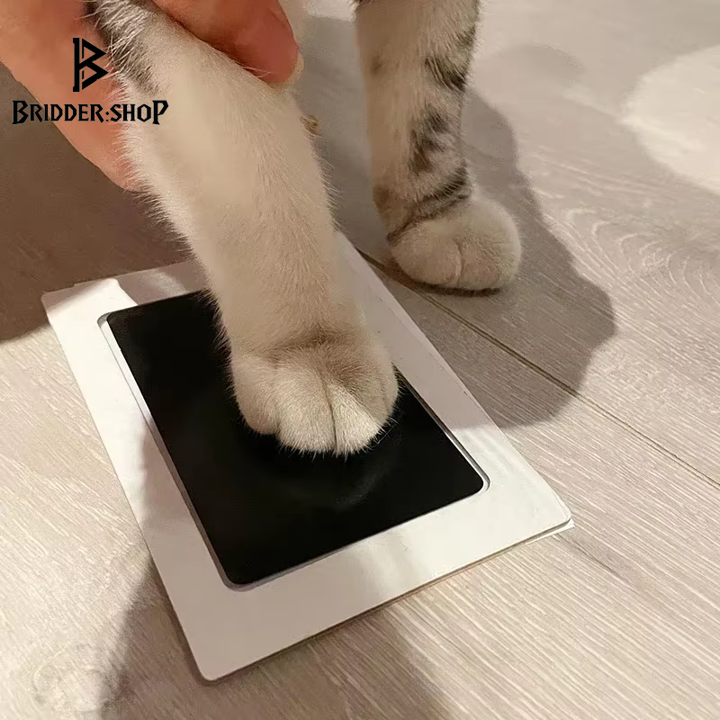 Paw-some Print Party: The Non-Toxic, Safe, and Totally Adorable Way to Capture Your Furry Friend's Footsie Art!