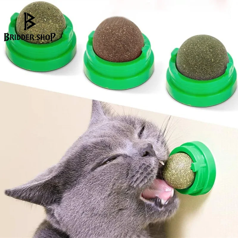 Feline Fun Factory: The Wall-Mounted Catnip Ball of Digestive Delight and Scratchy Shenanigans!