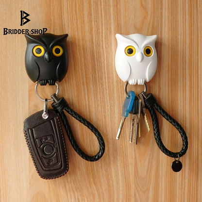 Meet Hooty McKeyHook: Your Adorable Owl Key Holder That Keeps Your Keys Safe and Sound!